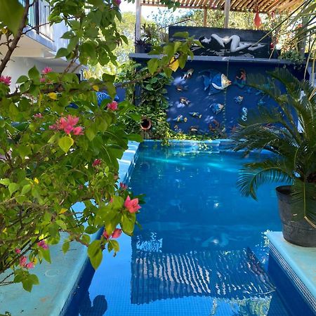 Casa Chukum Ξενοδοχείο Bacalar Εξωτερικό φωτογραφία Butterfly House